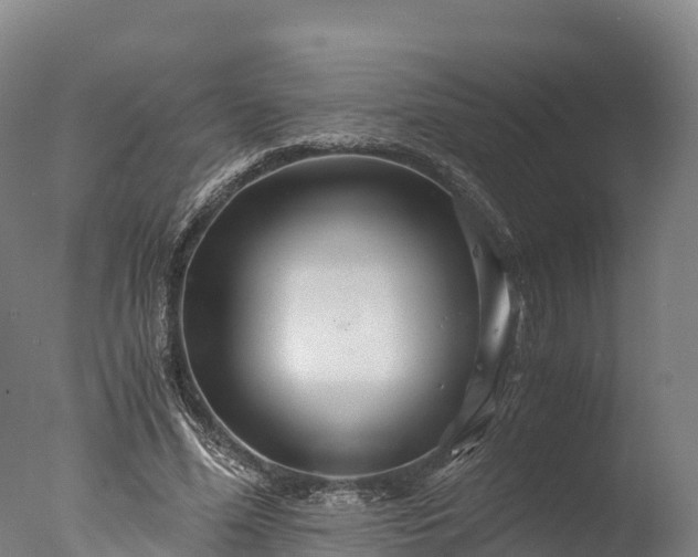 X0000076430588200610161155