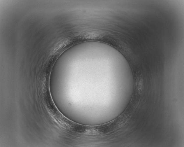 X0000076430591200610161154