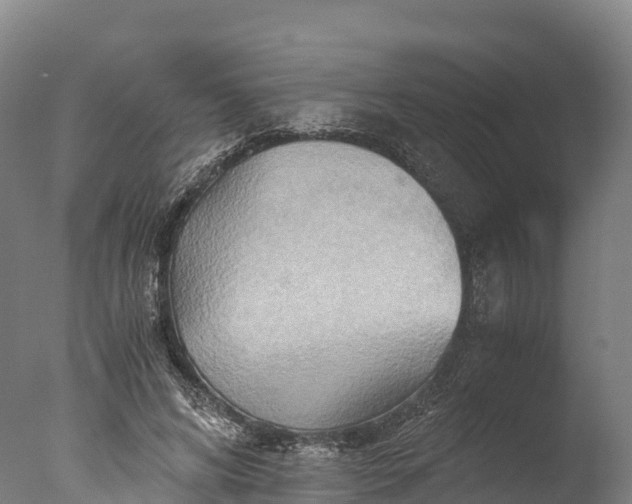 X0000076430592200610161154
