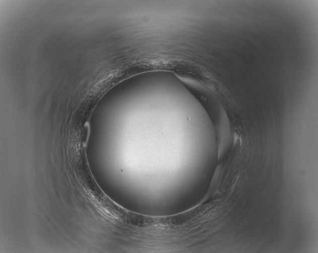 X0000076430593200610161154