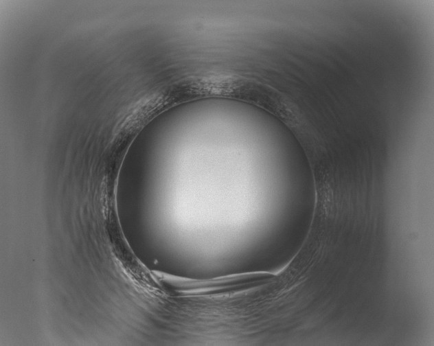 X0000076430594200610161154