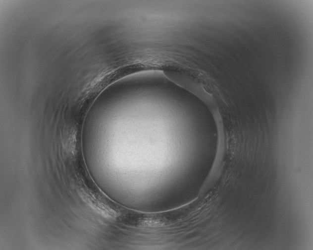 X0000076430596200610161154
