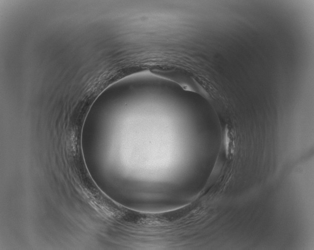 X0000076430597200610161154