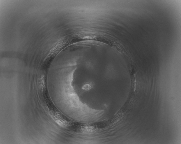 X0000076430598200610161154