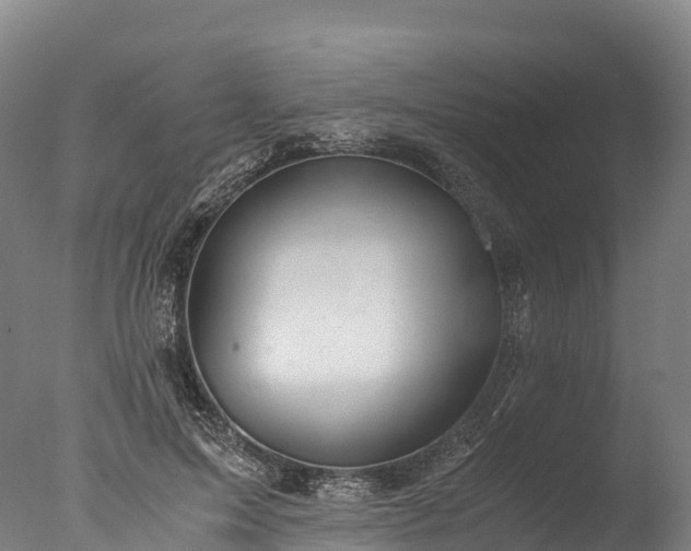 X0000076430599200610161154