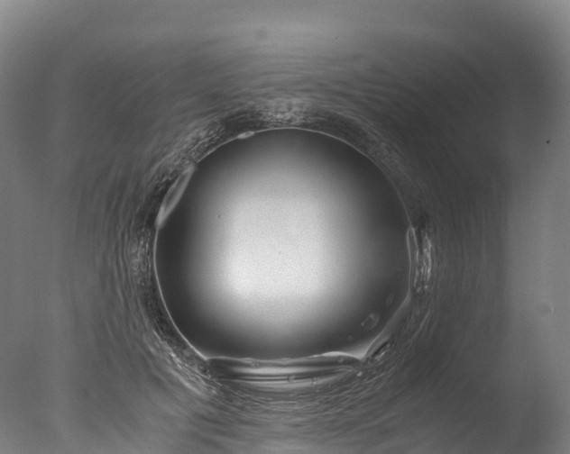 X0000076430601200610161154
