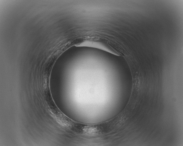X0000076430602200610161154