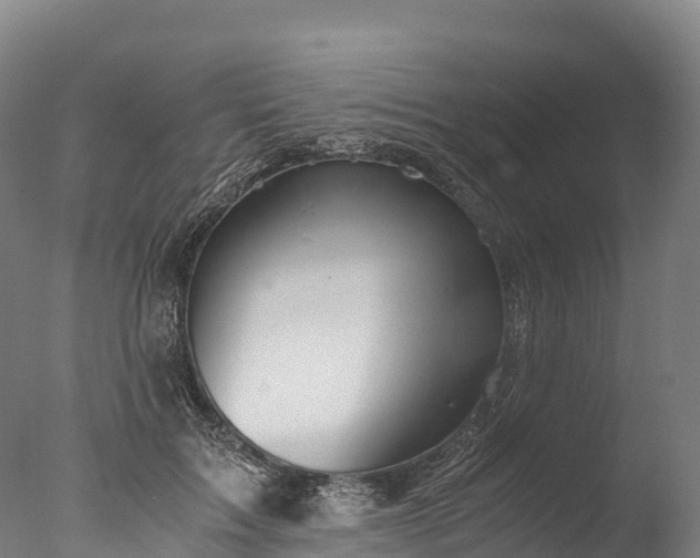 X0000076430603200610161154