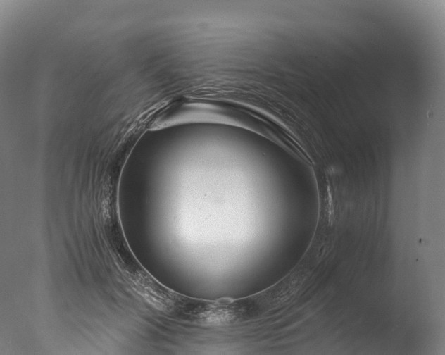 X0000076430604200610161154