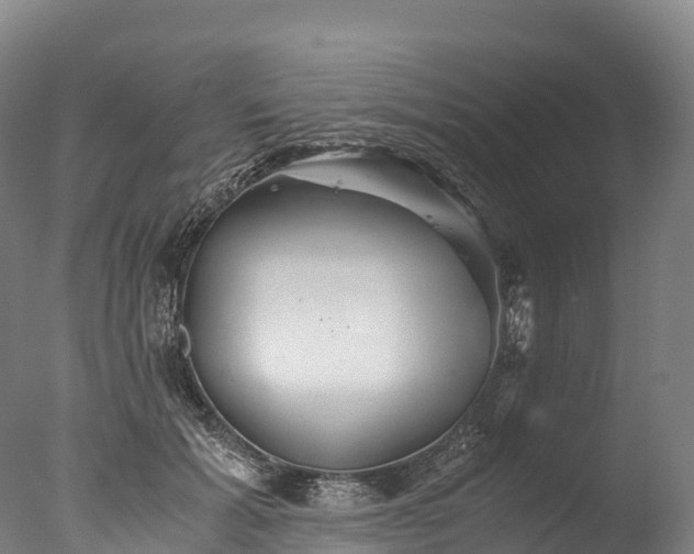 X0000076430605200610161154