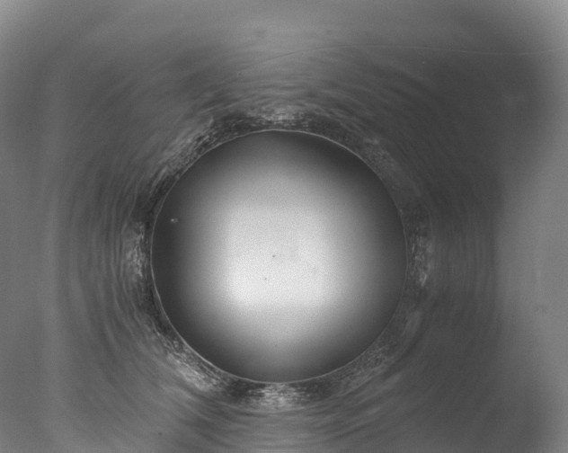 X0000076430612200610161154