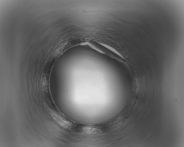 X0000076430614200610161154