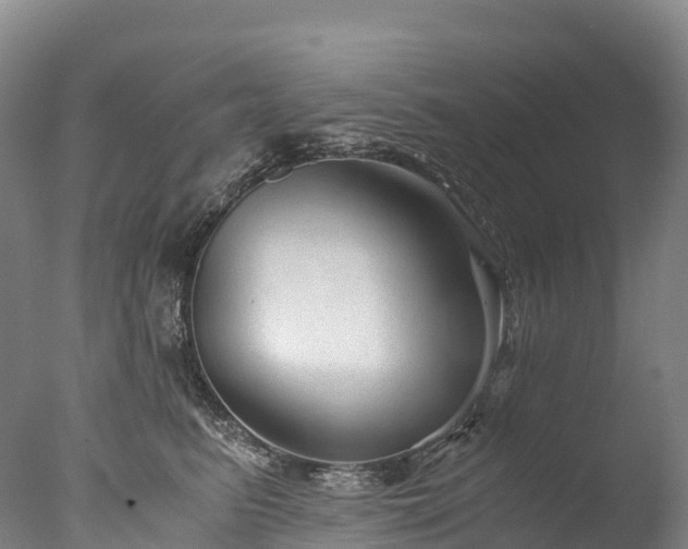 X0000076430615200610161154