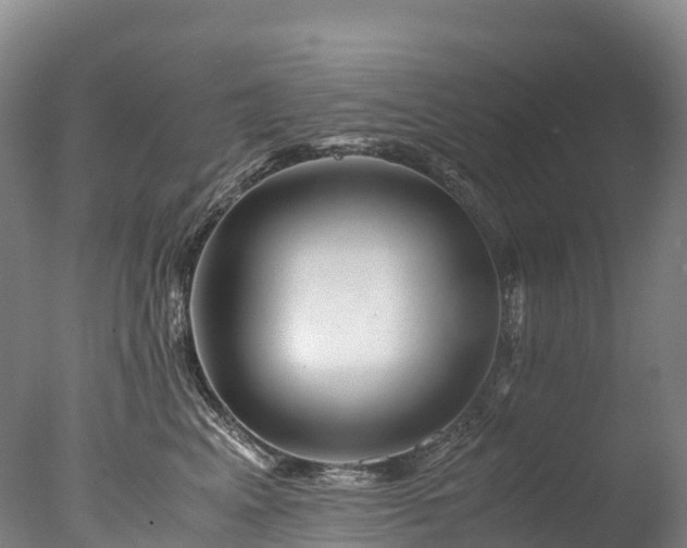 X0000076430617200610161154