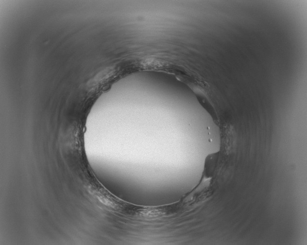 X0000076430619200610161154
