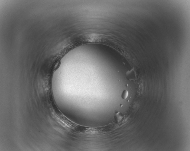 X0000076430620200610161154