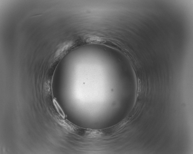 X0000076430621200610161154