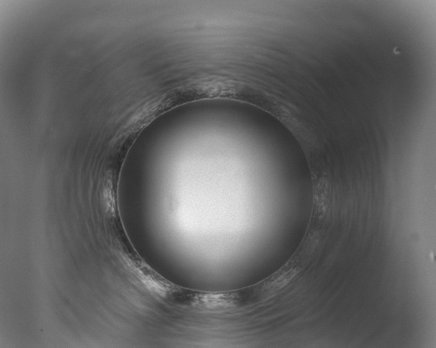 X0000076430622200610161154