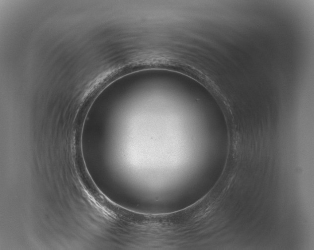 X0000076430629200610161153