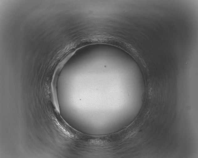 X0000076430633200610161153