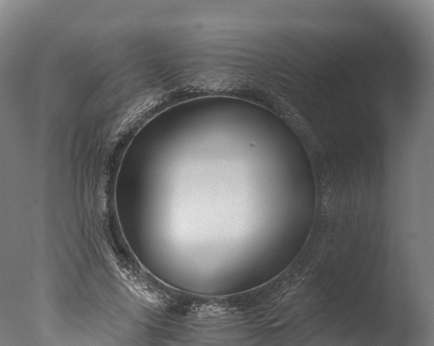 X0000076430635200610161153