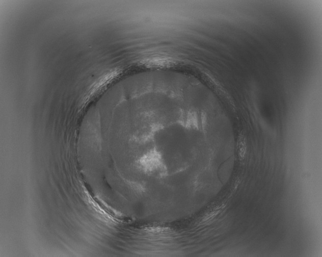 X0000076430637200610161153