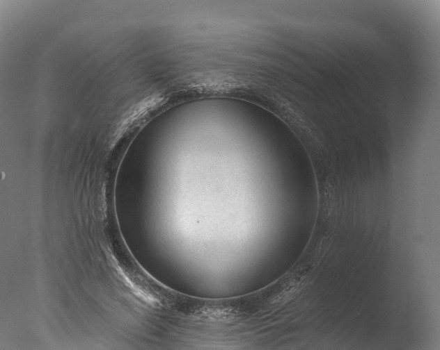 X0000076430638200610161153