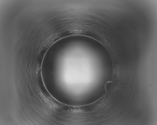 X0000076430645200610161153