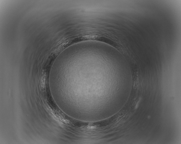 X0000076430647200610161153