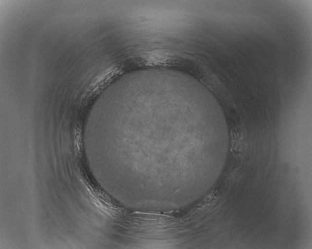 X0000076430648200610161154