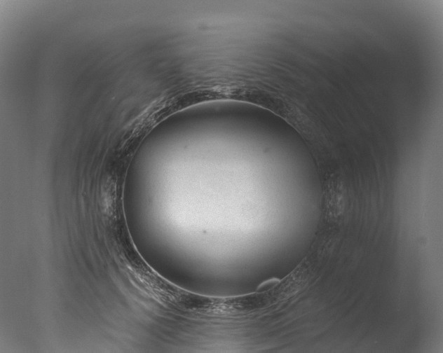X0000076430656200610161154