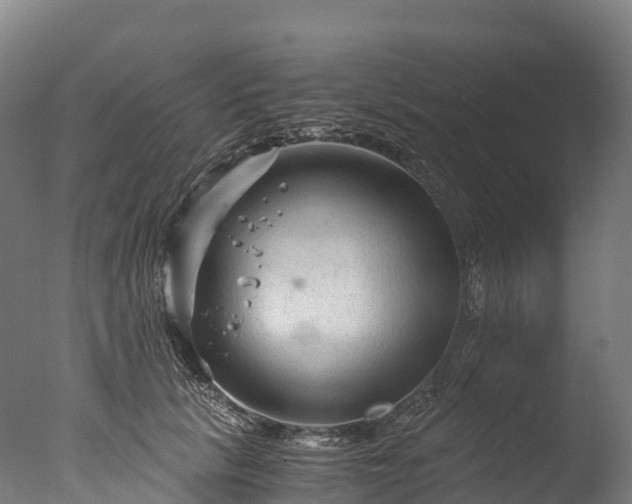 X0000076430657200610161154