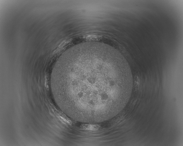 X0000076430663200610161154