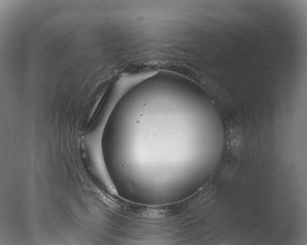 X0000076430664200610161154