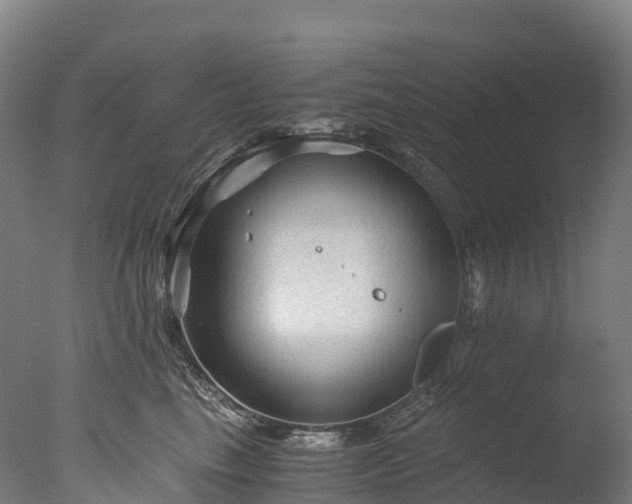 X0000076430665200610161154