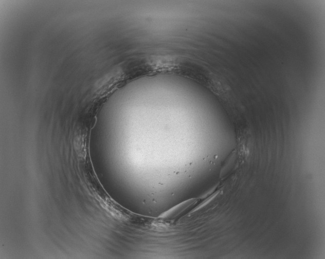 X0000076430666200610161154