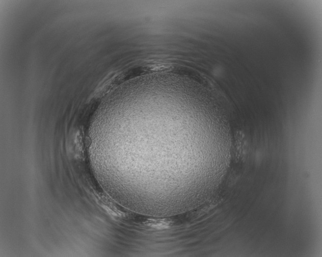 X0000076430667200610161154