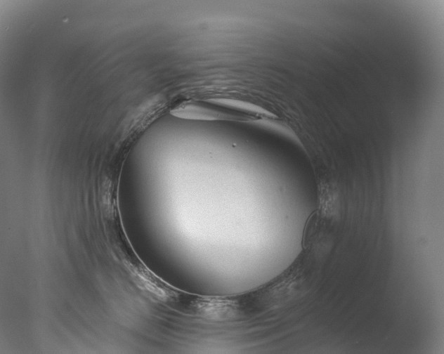 X0000076430670200610161154