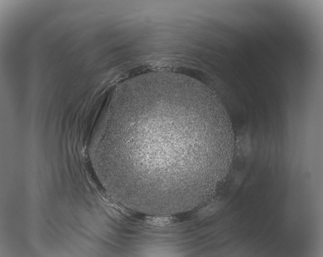 X0000076430671200610161154