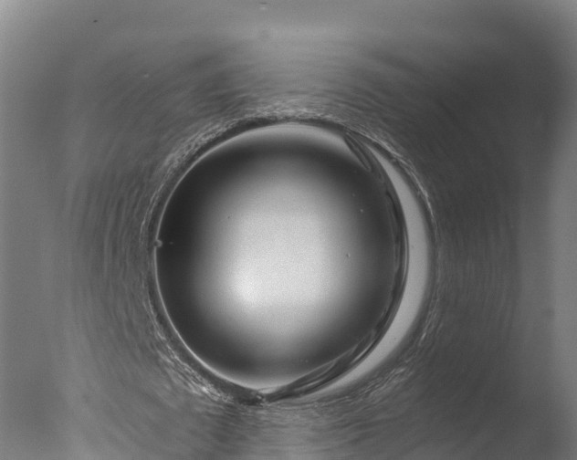 X0000076430673200610161153