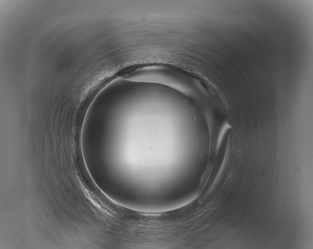 X0000076430677200610161153