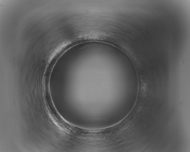 X0000076430678200610161153