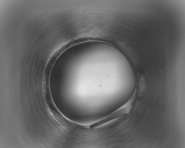 X0000076430680200610161153
