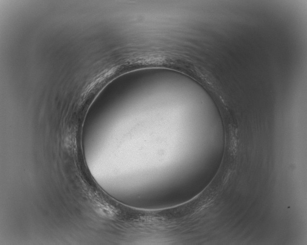 X0000076430681200610161153