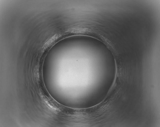 X0000076430682200610161153