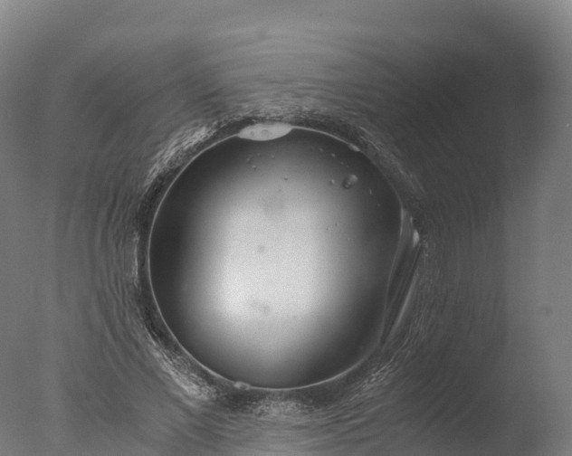 X0000076430685200610161153