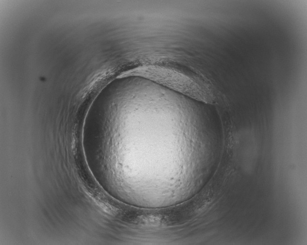X0000076430687200610161153