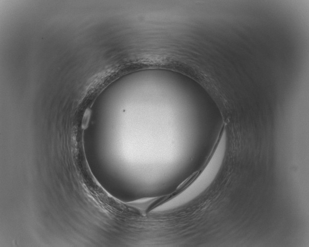 X0000076430688200610161153