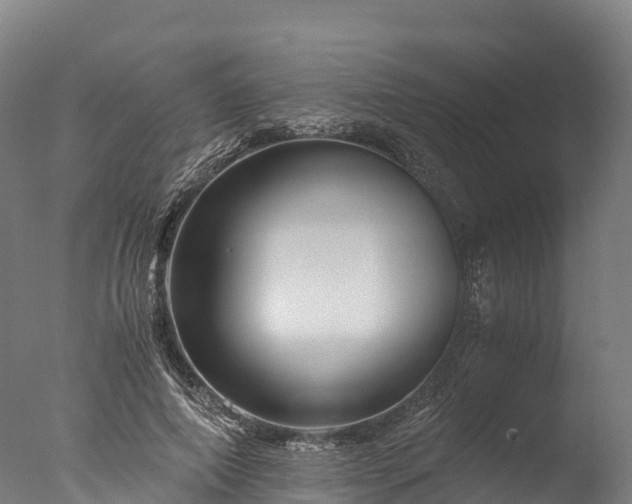 X0000076430690200610161153