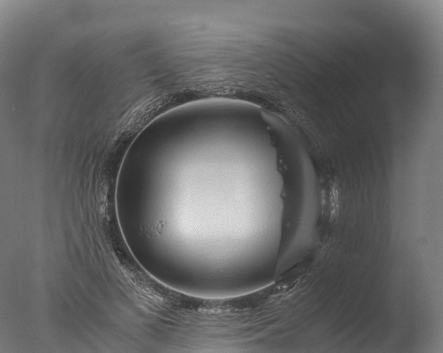 X0000076430693200610161153
